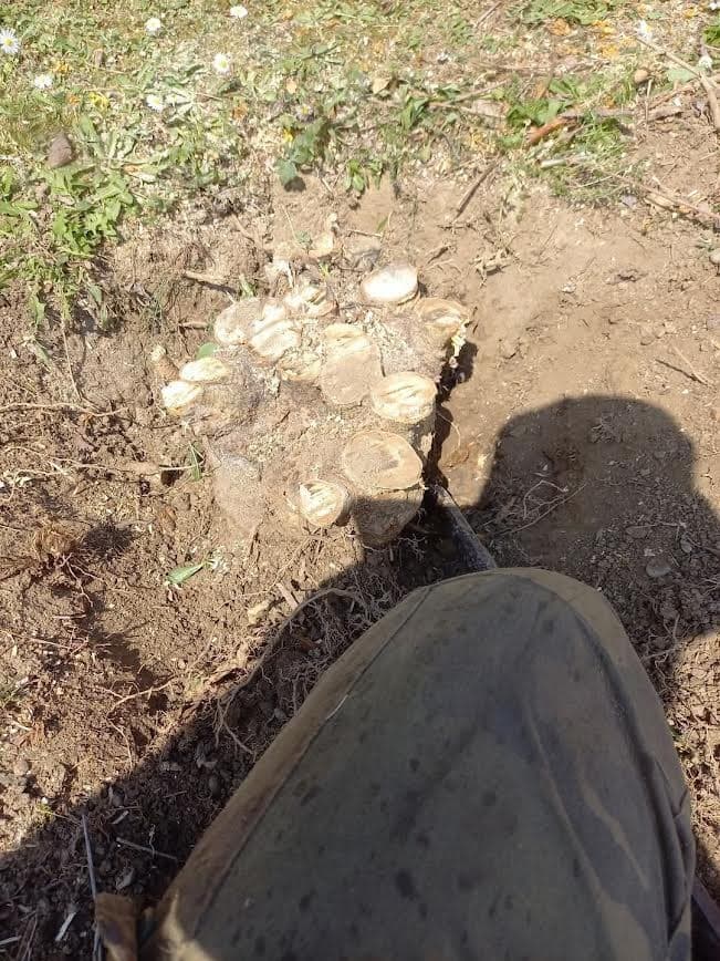 Chantier — Jegun (32360)