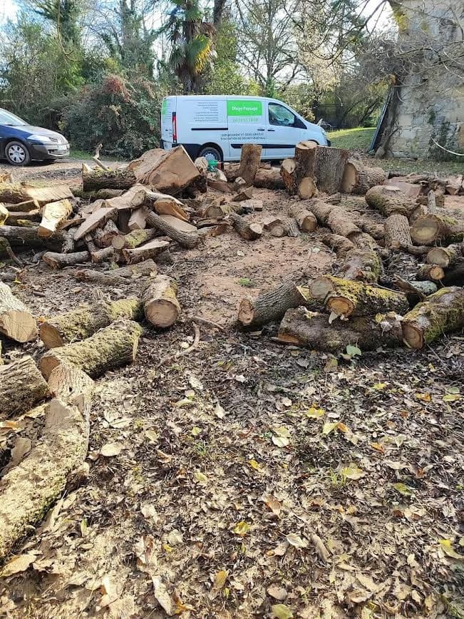 Découpe de bois à Preignan (32810)